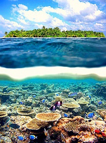 Split-View Coral Reef, Tahiti na Stylowi.pl